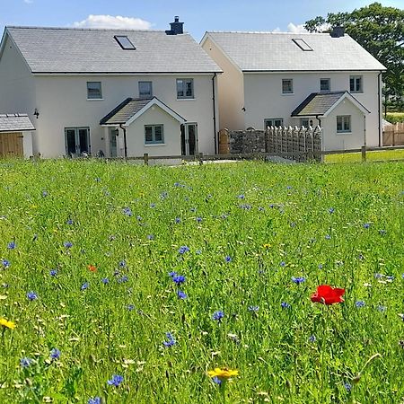 Brecon Beacons Cottage With Stunning Country Views Myddfai Exteriér fotografie