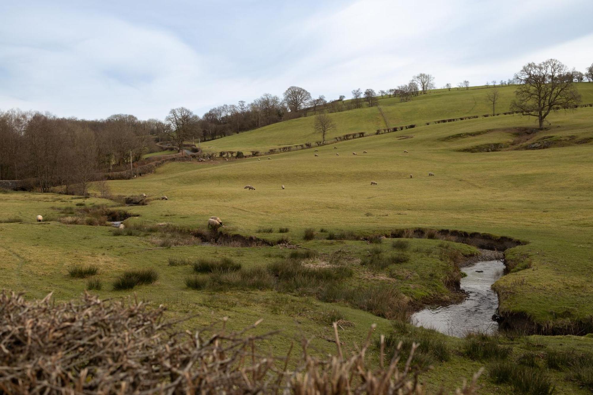 Brecon Beacons Cottage With Stunning Country Views Myddfai Exteriér fotografie