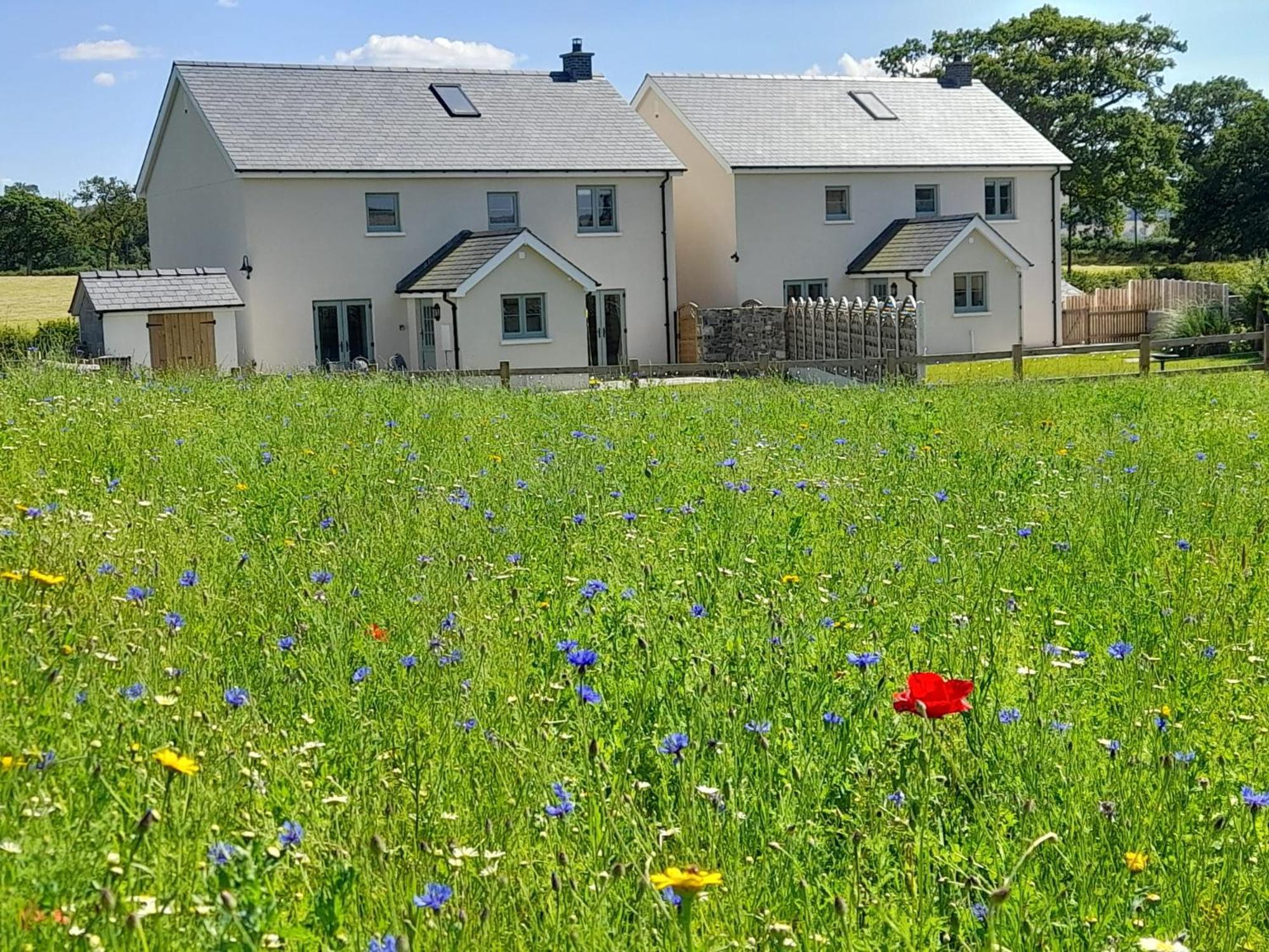Brecon Beacons Cottage With Stunning Country Views Myddfai Exteriér fotografie